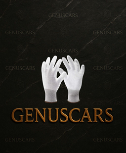 Carbon Fiber Glove – Carbon Fiber Glove Set on GenusCars Branded Marble Background