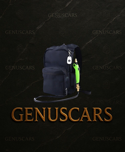 Pressure Pump Water Sprayer Back Pack – Back Pack Water Sprayer Set on GenusCars Branded Marble Background